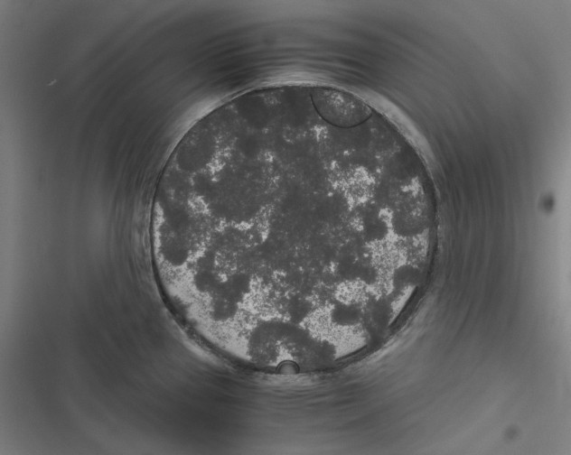 X0000116861337201001191653