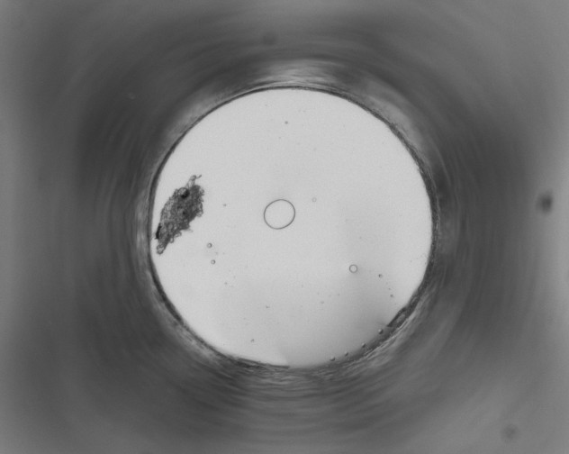 X0000116861338201001191653