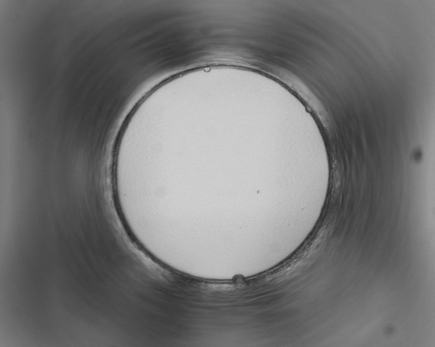 X0000116861339201001191653