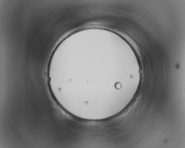 X0000116861341201001191653