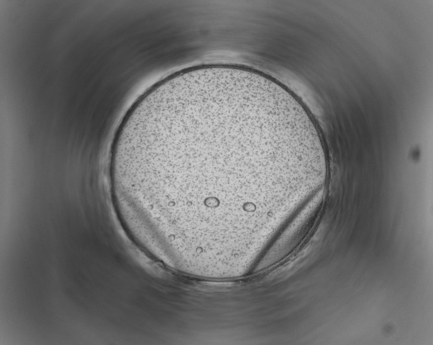 X0000116861342201001191653