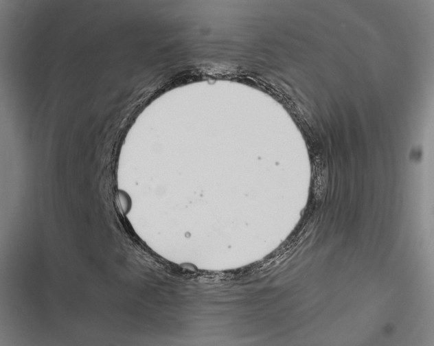 X0000116861345201001191653