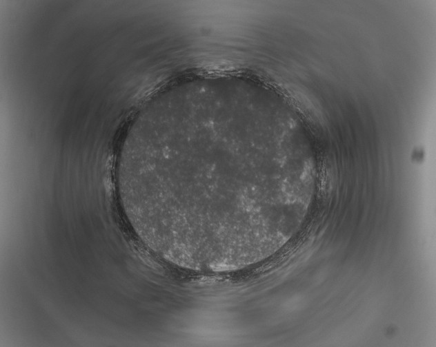 X0000116861346201001191653