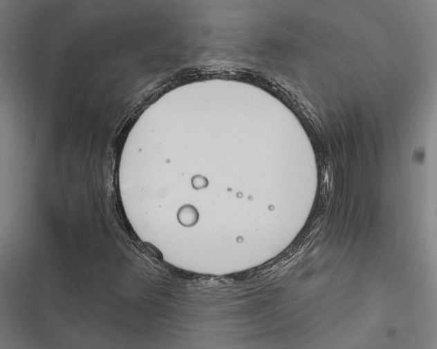 X0000116861348201001191653