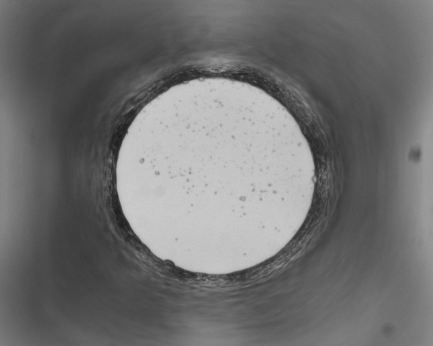 X0000116861349201001191653