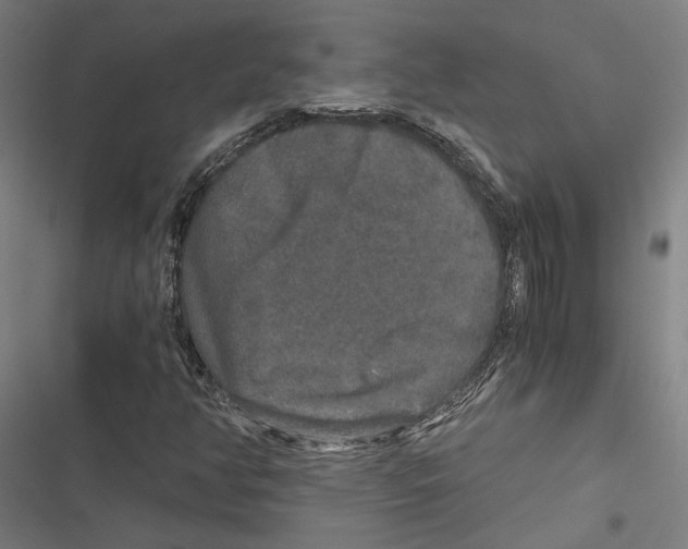 X0000116861350201001191653