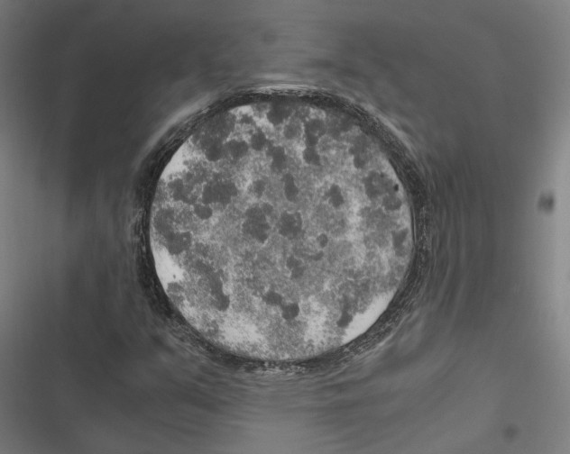 X0000116861351201001191653