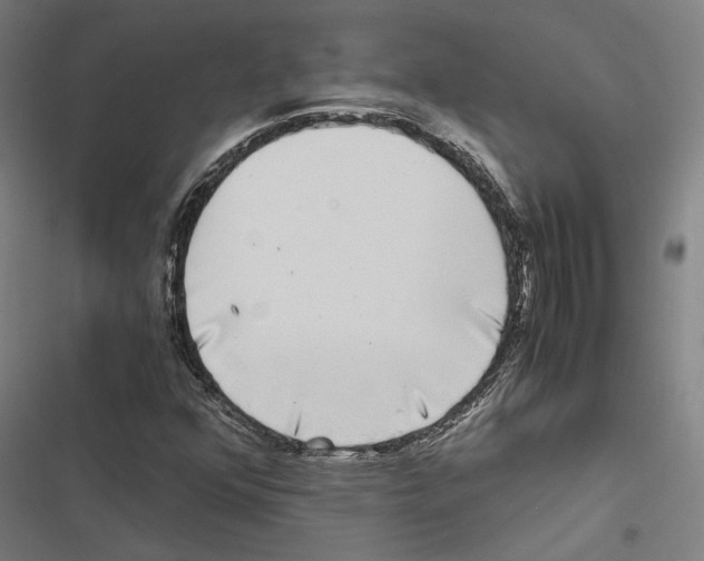 X0000116861352201001191653