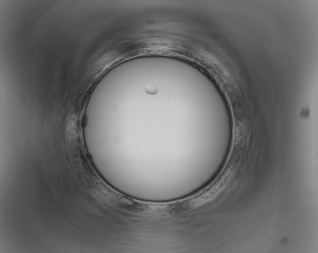 X0000116861353201001191653