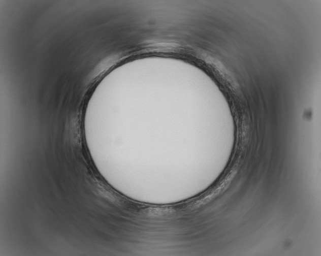 X0000116861354201001191653