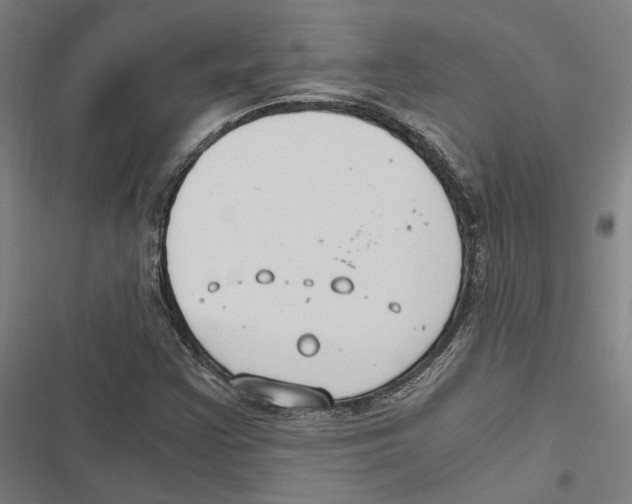 X0000116861355201001191653