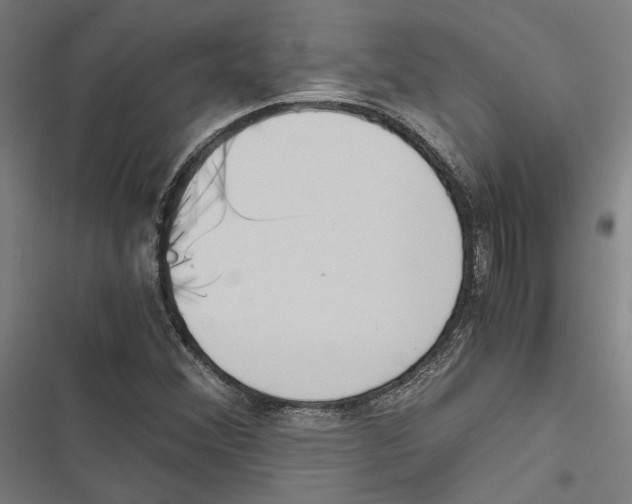 X0000116861356201001191653