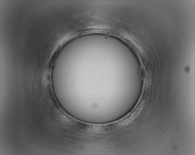 X0000116861357201001191653