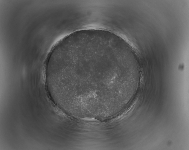 X0000116861358201001191652