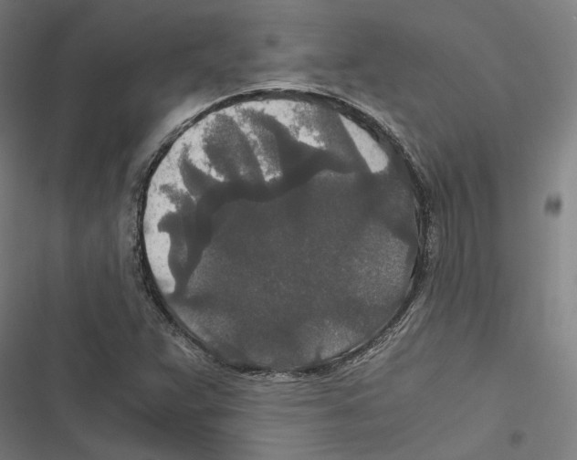 X0000116861359201001191652