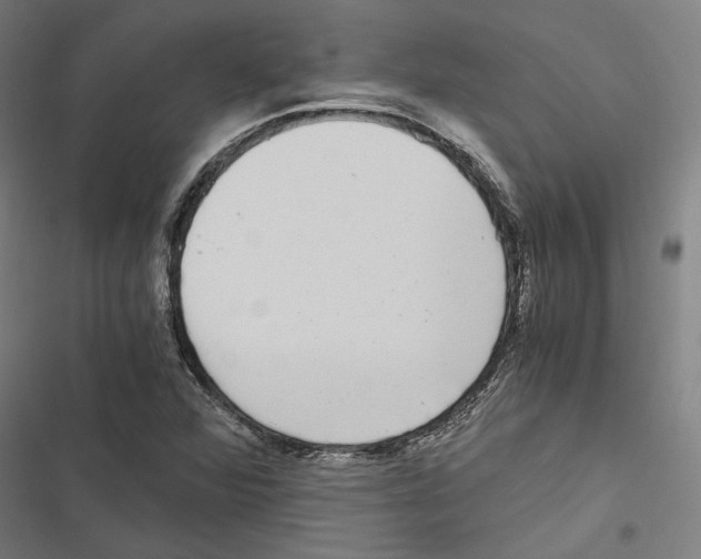 X0000116861360201001191652