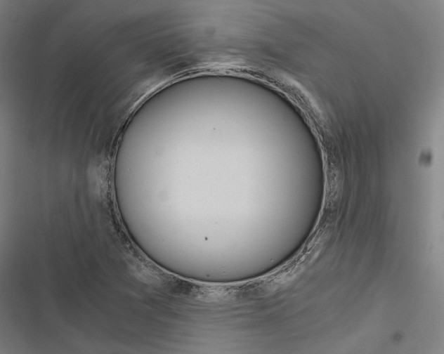 X0000116861361201001191652