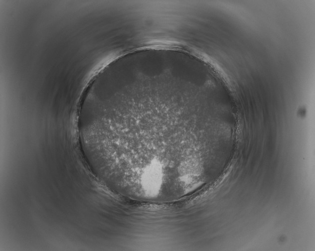 X0000116861362201001191652