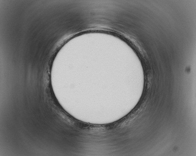 X0000116861363201001191652