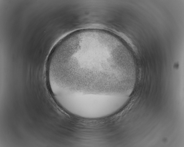 X0000116861364201001191652