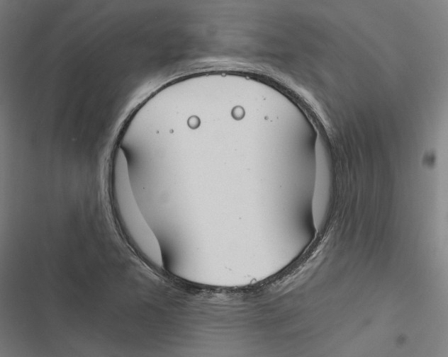 X0000116861365201001191652