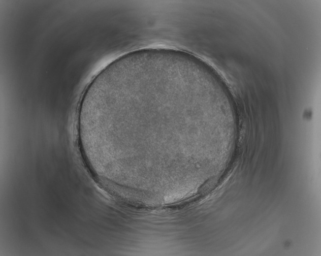 X0000116861367201001191652