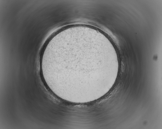 X0000116861368201001191652