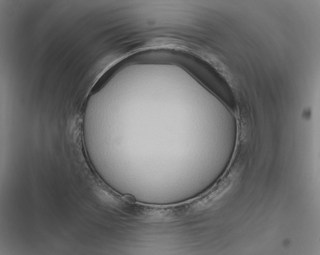 X0000116861369201001191652