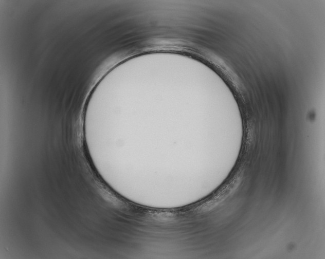 X0000116861370201001191652