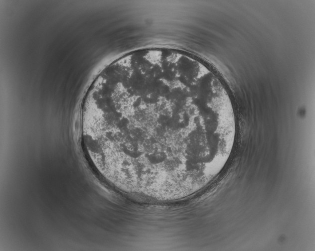 X0000116861371201001191652