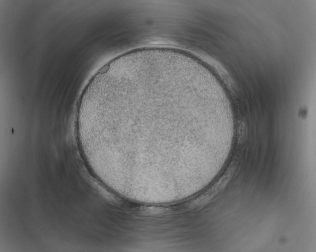 X0000116861374201001191652