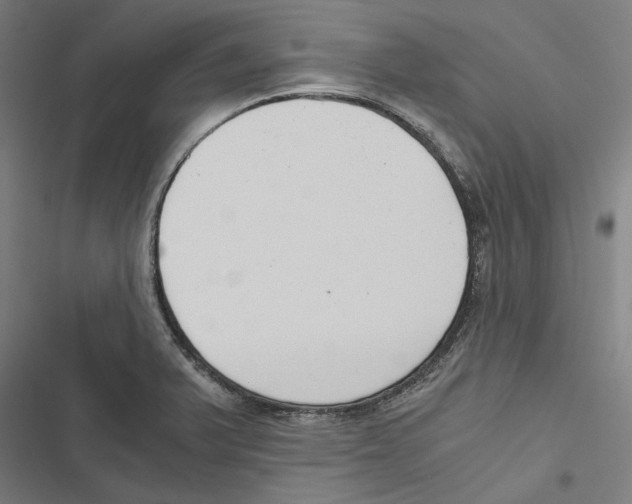 X0000116861375201001191652