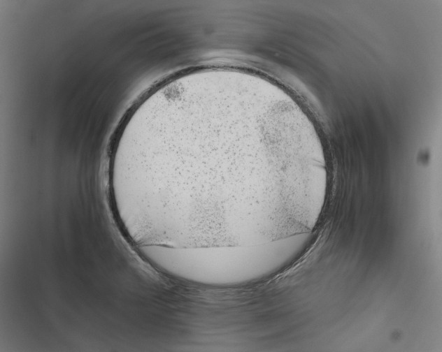 X0000116861376201001191652