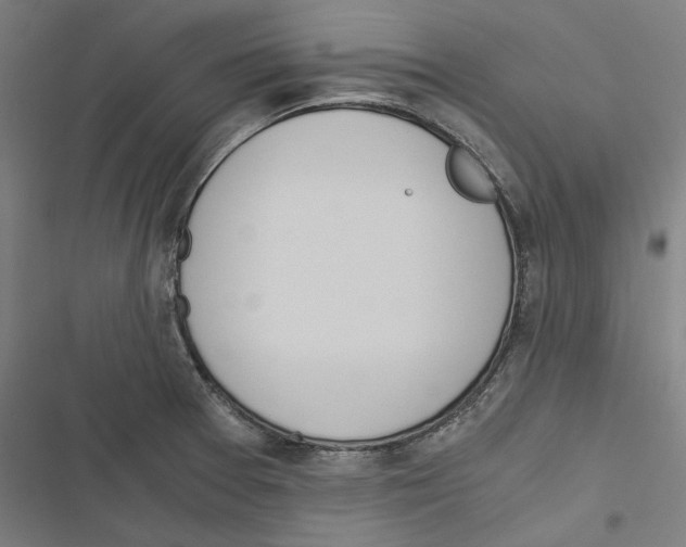 X0000116861377201001191652