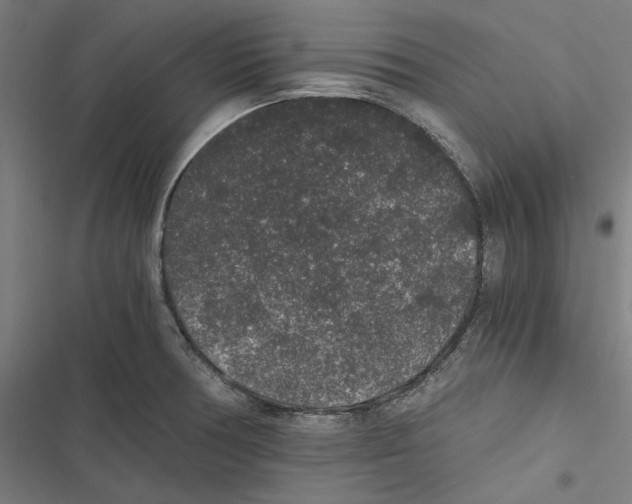 X0000116861378201001191652