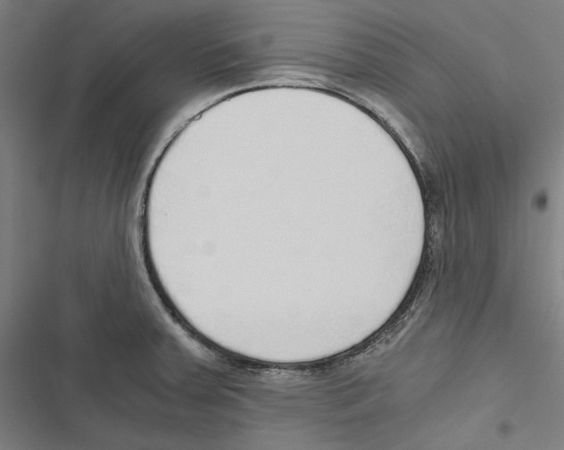 X0000116861379201001191652