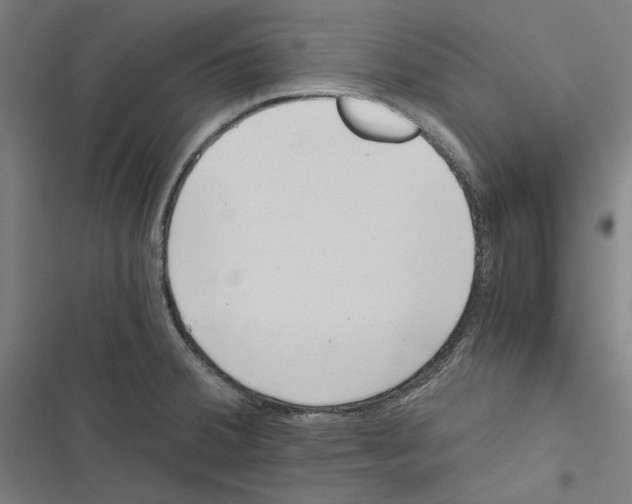 X0000116861380201001191652