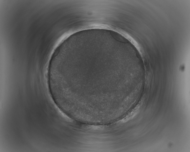 X0000116861381201001191652