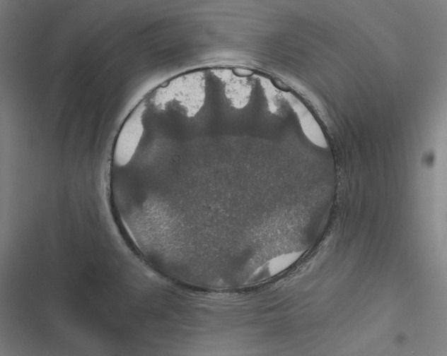 X0000116861383201001191652