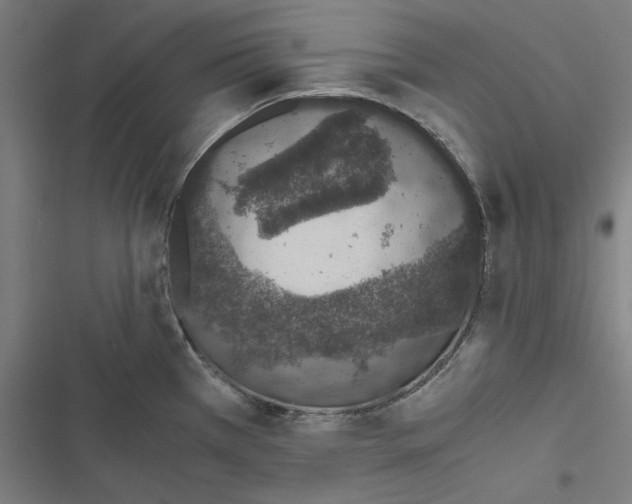 X0000116861385201001191652