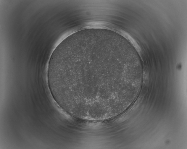 X0000116861386201001191652