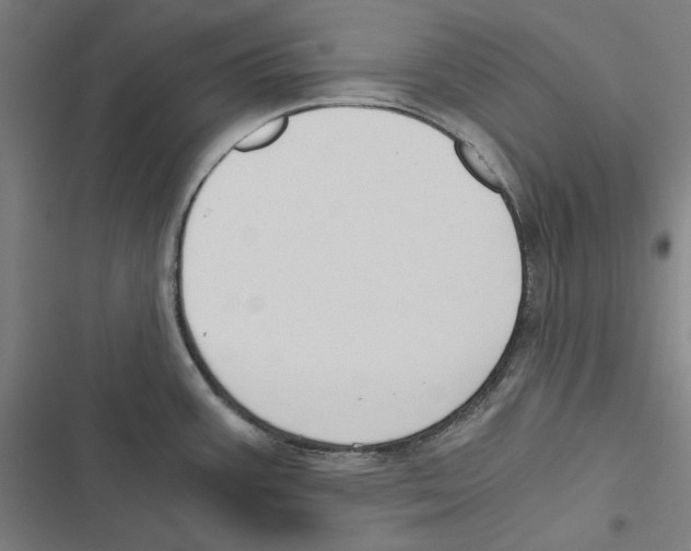 X0000116861387201001191652