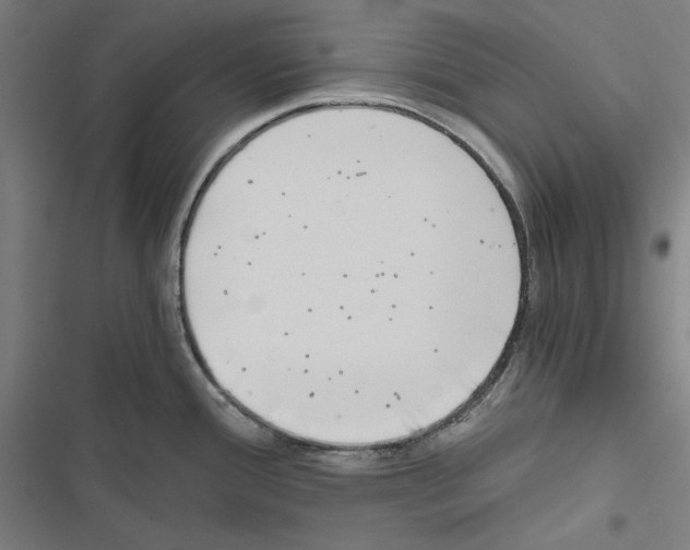 X0000116861388201001191652