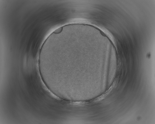 X0000116861390201001191652