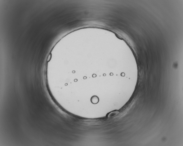 X0000116861391201001191652