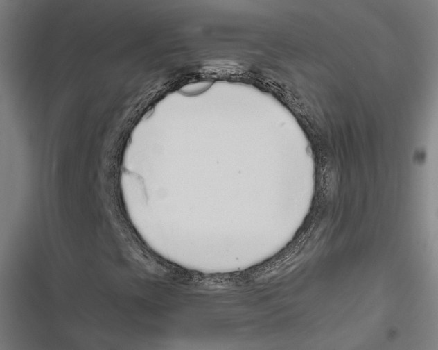 X0000116861393201001191651