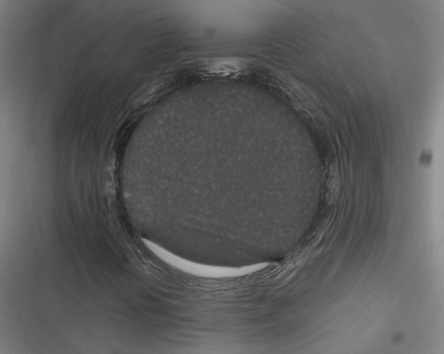 X0000116861394201001191651