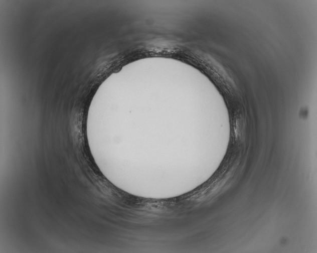 X0000116861396201001191651