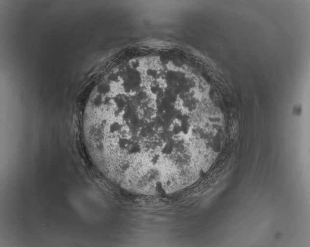 X0000116861397201001191651