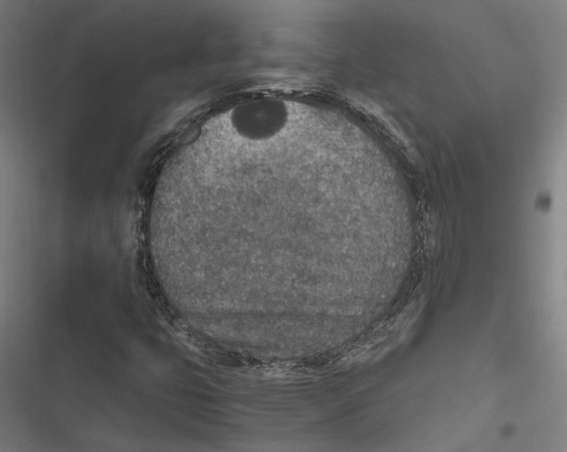 X0000116861399201001191651